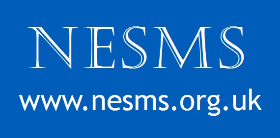 NESMS