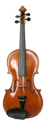 Violin